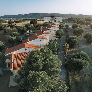 https://studio-dalkidi.hotelschalkidiki.net